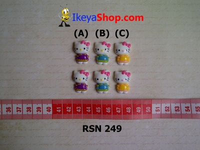 rsn 249  large2
